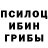 Галлюциногенные грибы мухоморы G pollack