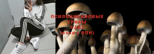 соль ск Алексин