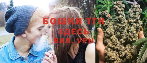 соль ск Алексин