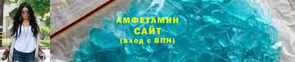 индика Михайловск
