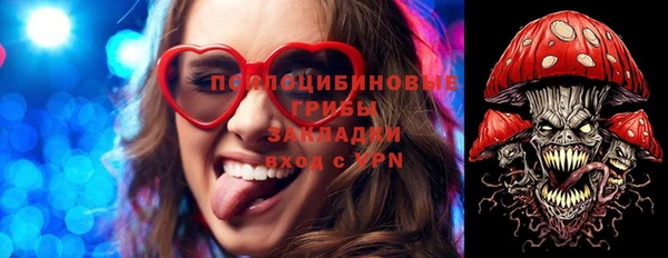 соль ск Алексин