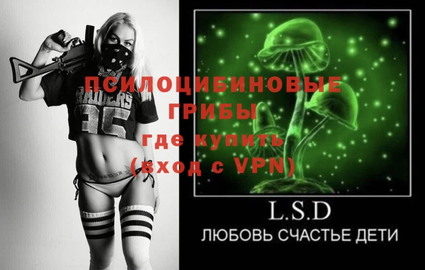 соль ск Алексин